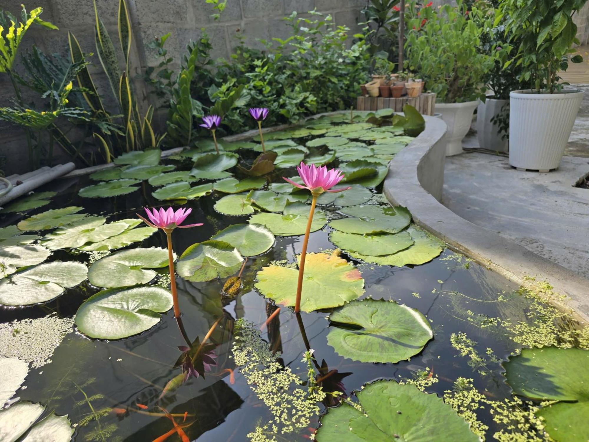 Lac House Mui Ne Bagian luar foto