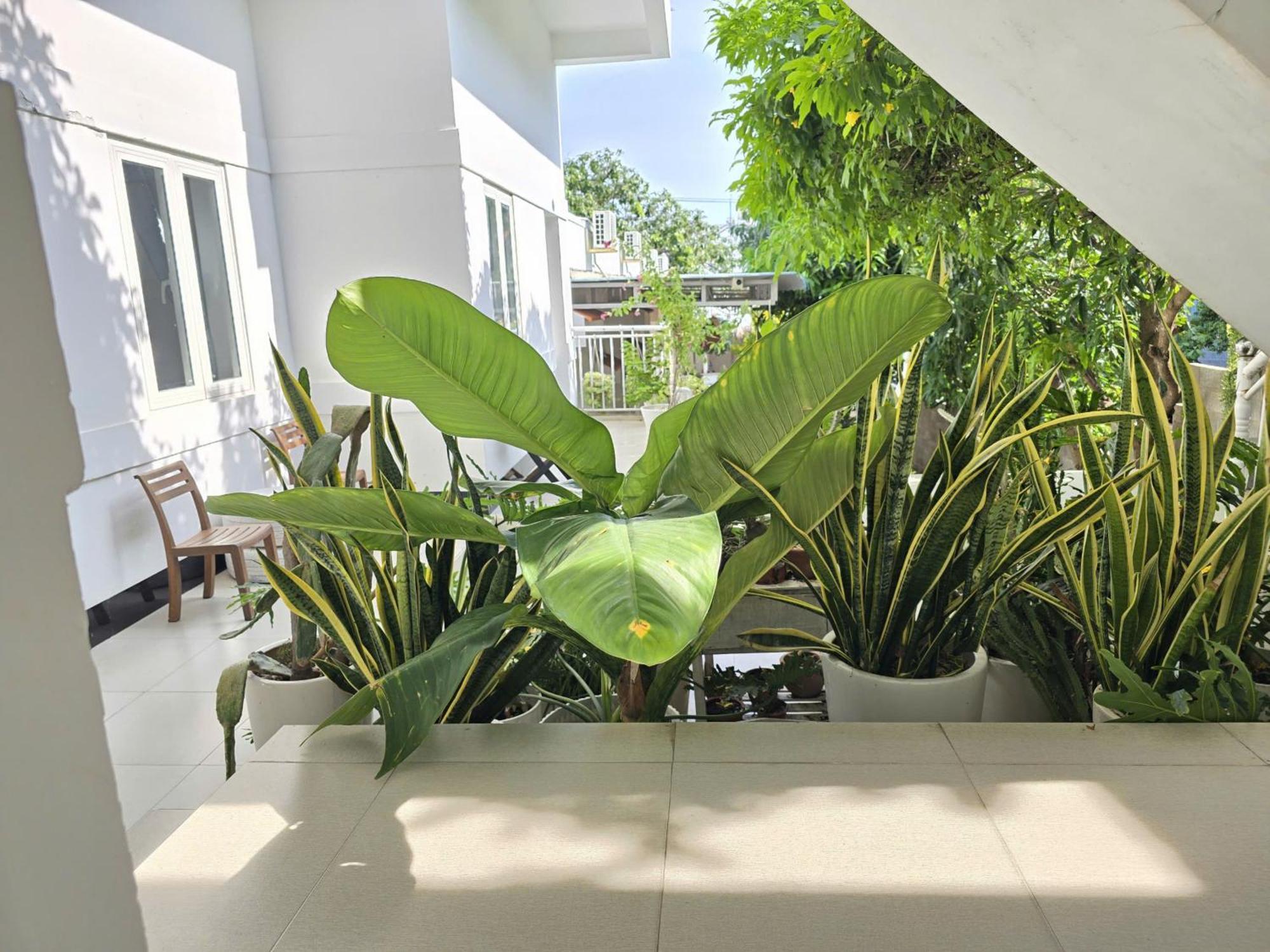 Lac House Mui Ne Bagian luar foto